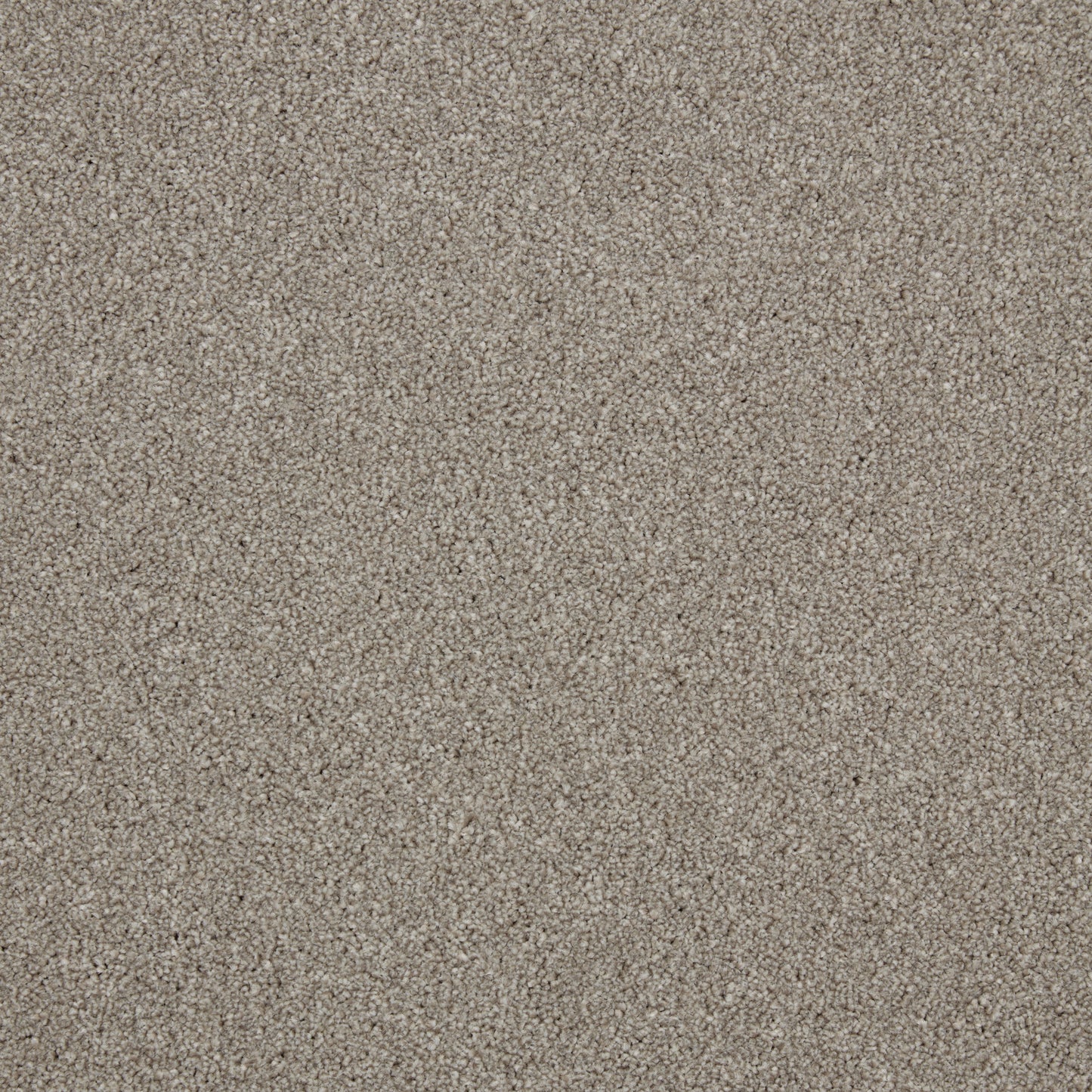 Innovate - Fossil Grey