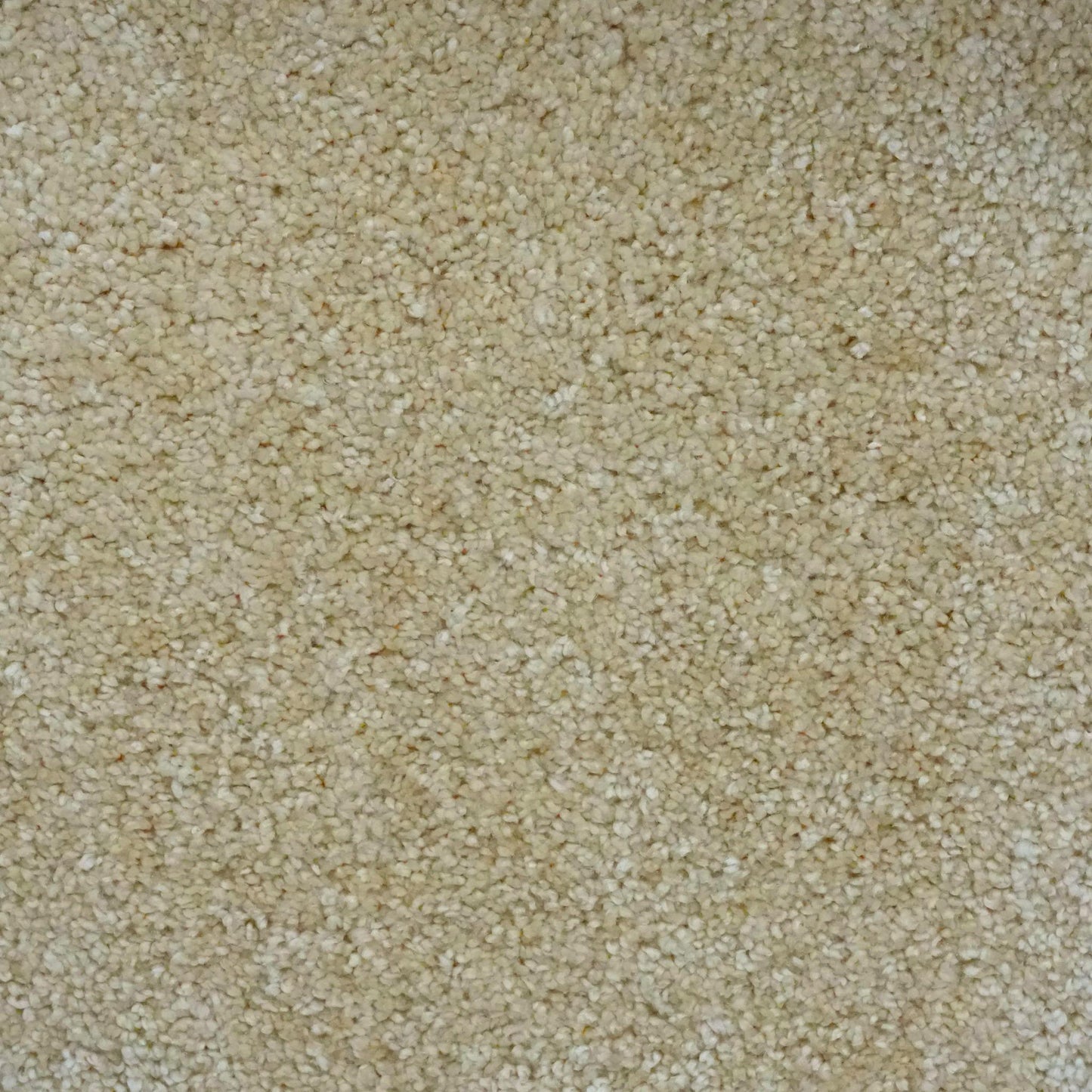 Fortune - Oatmeal