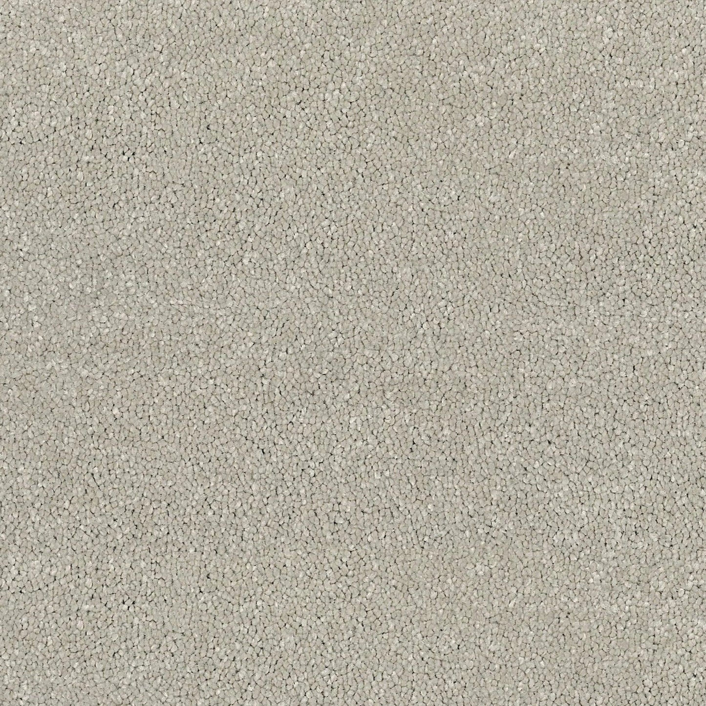 Glorious - Bone