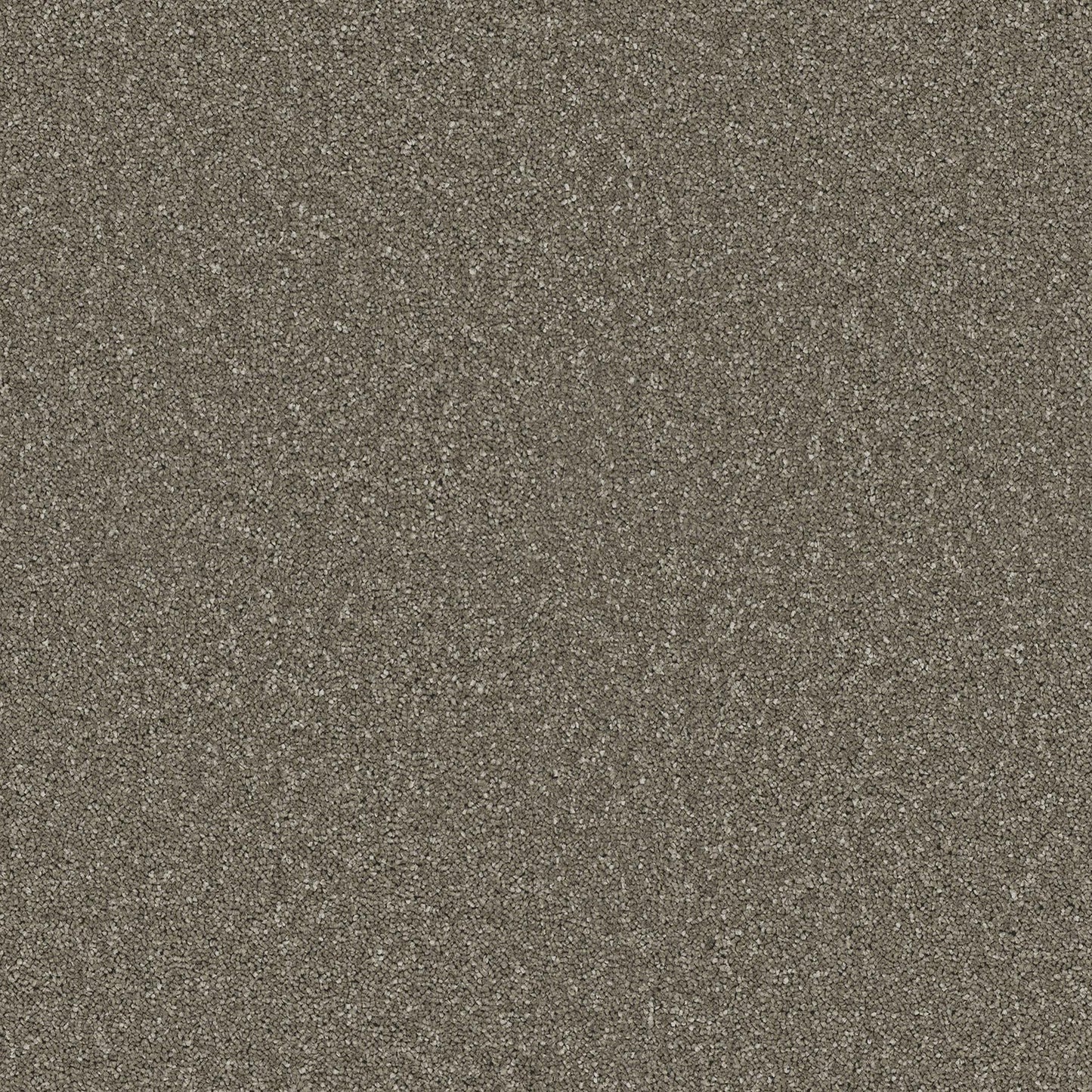 Horizon - Limestone