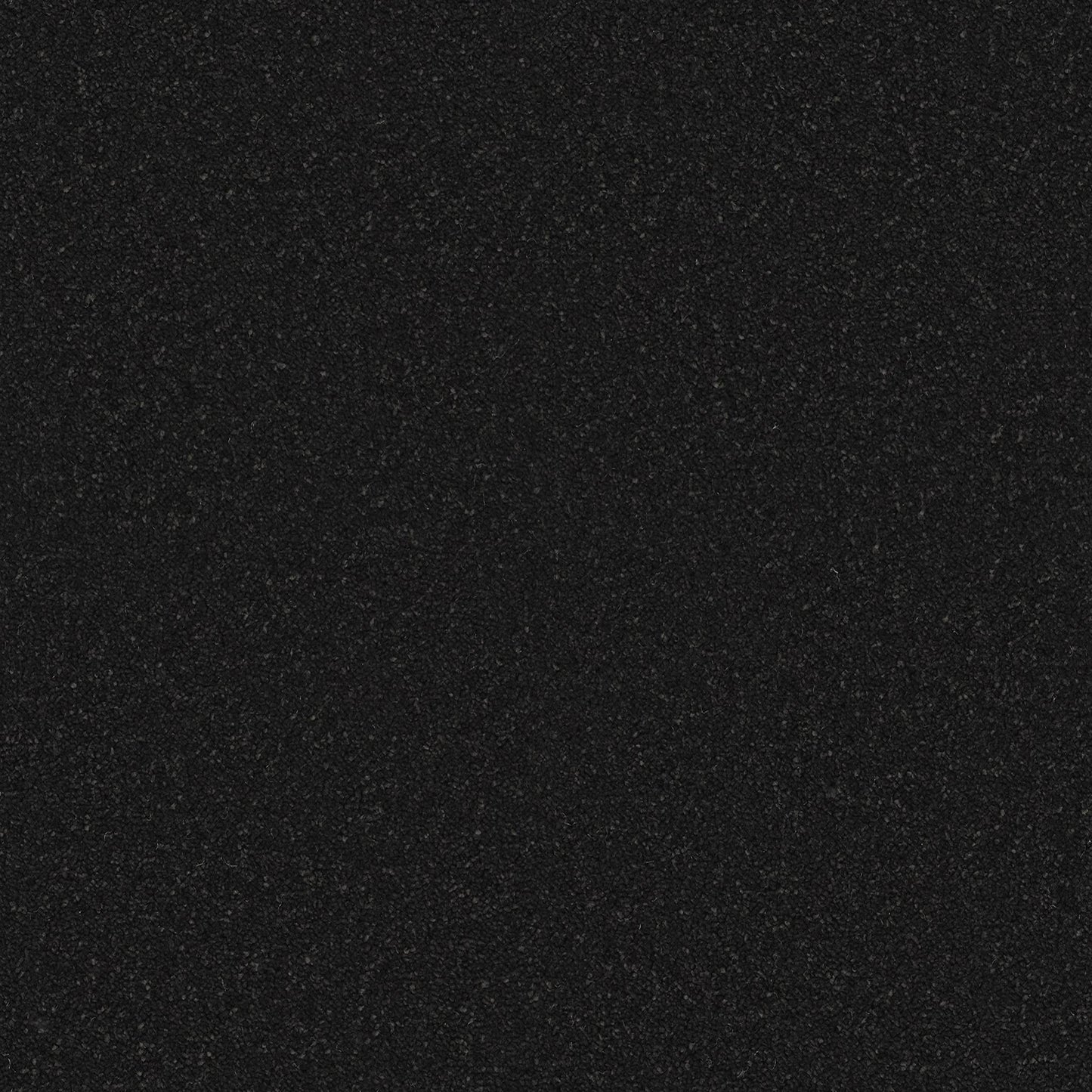 Horizon - Coal