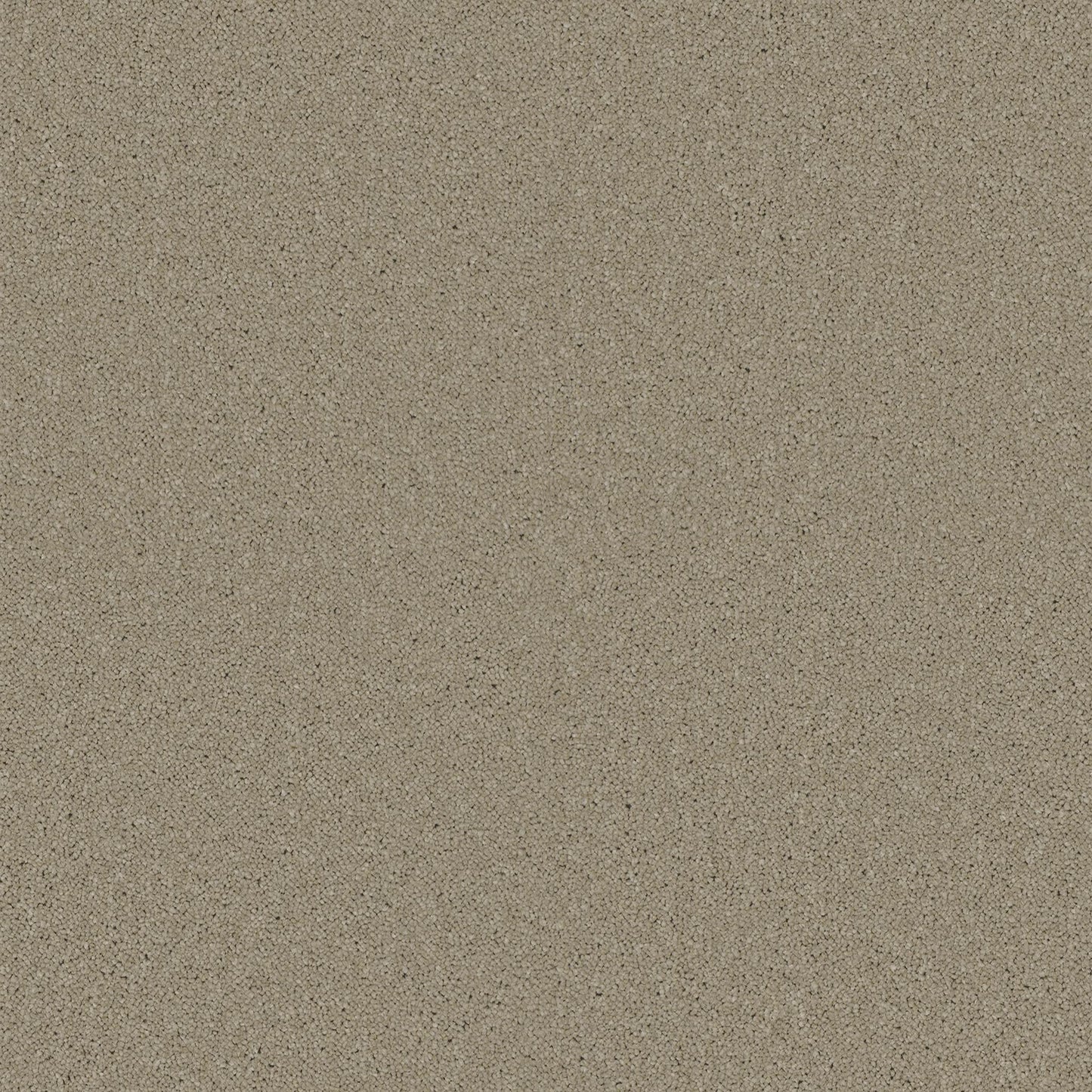 Horizon - Hemp