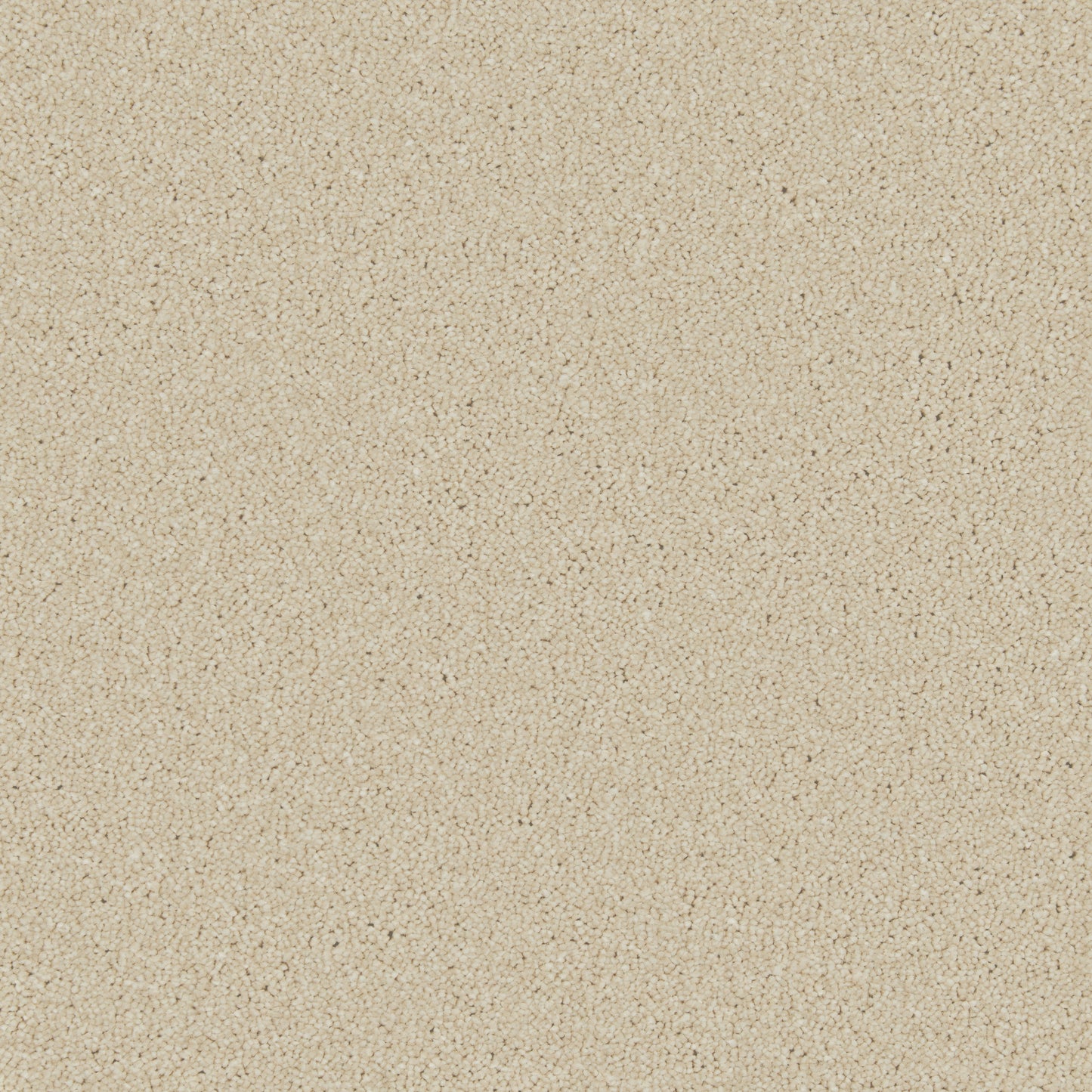 Innovate - Dune