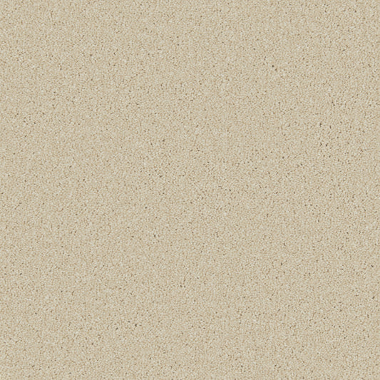 Innovate - Dune