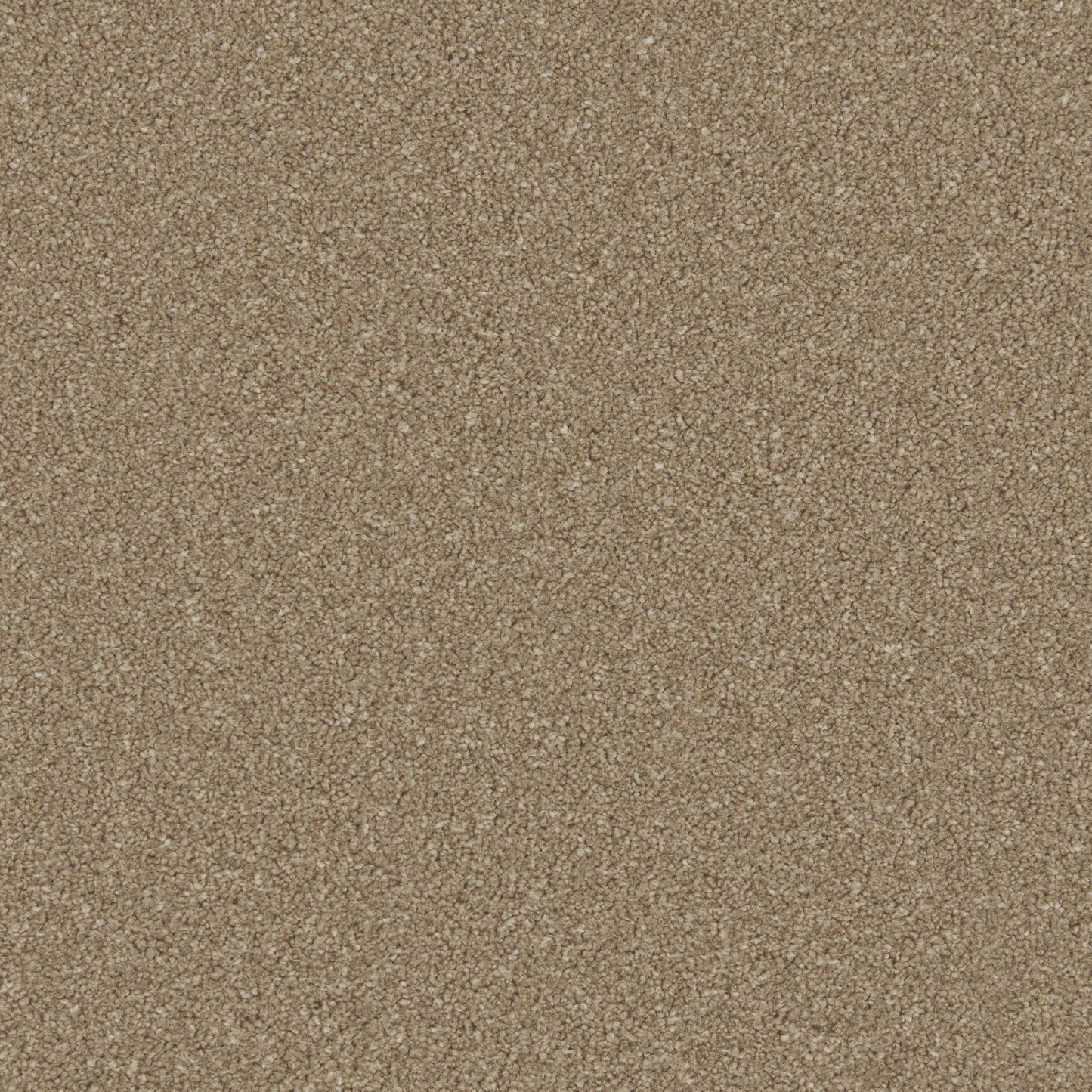 Innovate - Mocha