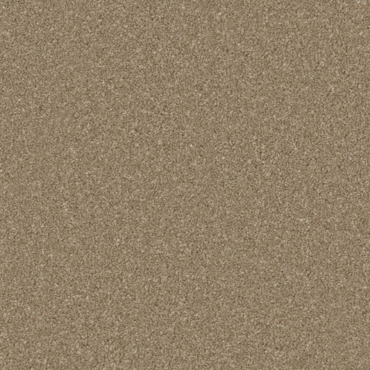 Innovate - Mocha