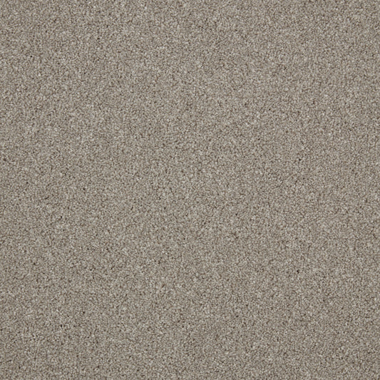 Innovate - Fossil Grey