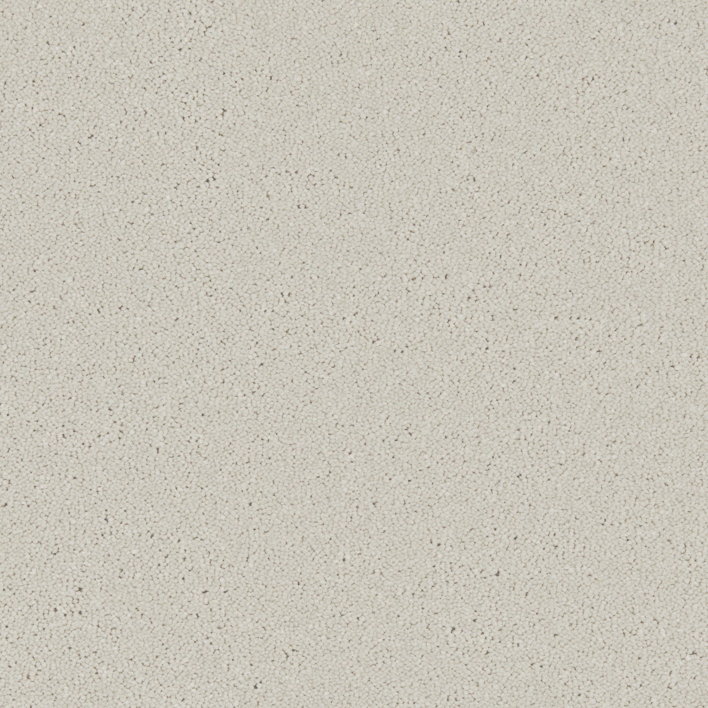 Innovate - White Ash